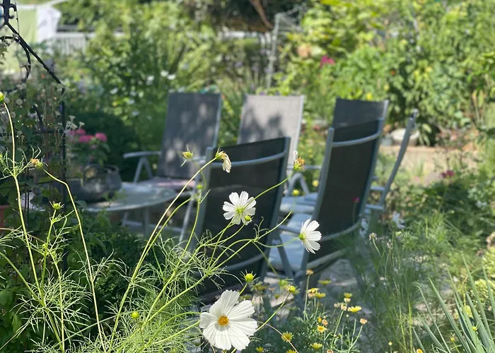 Apartman Apartmani Pax *